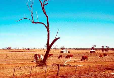 earth doubles it's drought